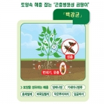 대유 팡싹충싹 (1.5kg / 3kg ) - 유기농업 살충살균 진딧물 총채벌레 탄저병 뿌리파리 칼라병